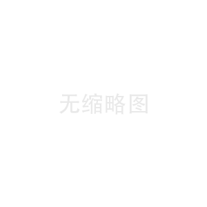 电子商务平台建设：专业IT服务的助力与创新